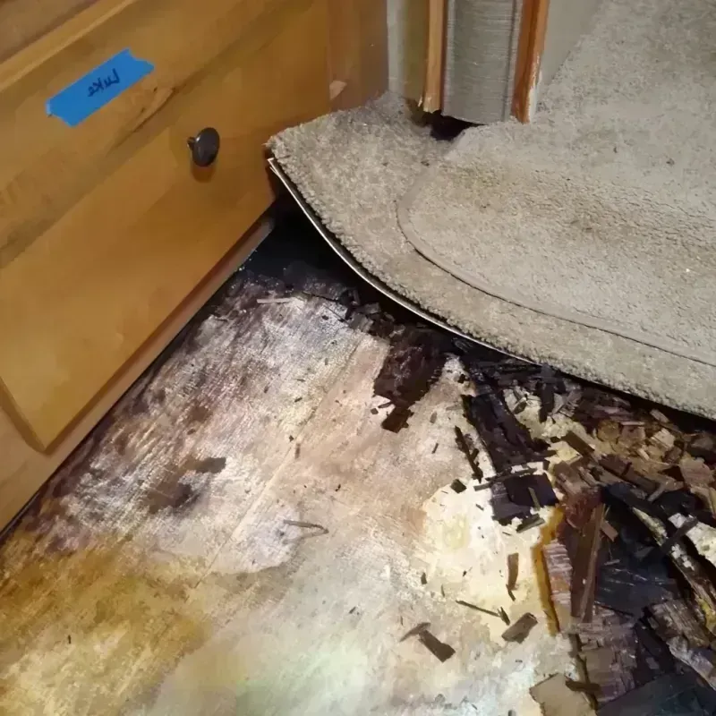 Wood Floor Water Damage in Cherokee County, SC